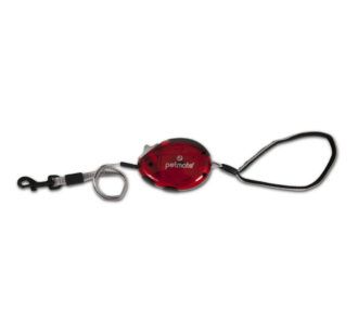 Buy Petmate Translucent Palm Retractable Leash Small Red
