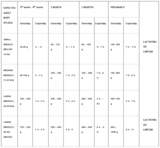 Buy Drools Focus Starter 1