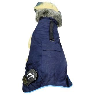 Buy Blue Big Puppy Dog Hoodies