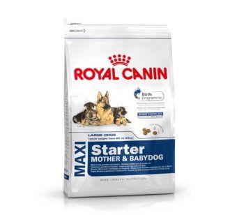 Buy Royal Canin Adult Dog Food Maxi Starter