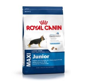 Buy Royal Canin Maxi Junior 4 kg