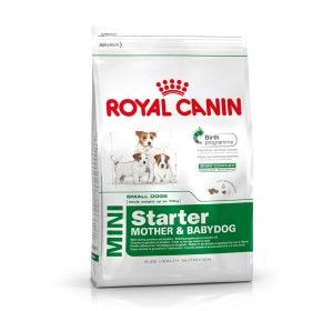 Buy Royal Canin Mini Starter - 3 Kg