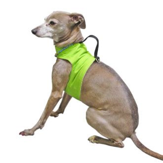 Buy Reversible Classic Wrap