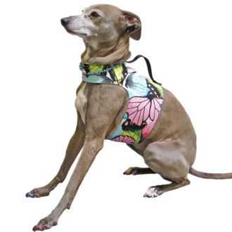 Buy Beautiful Classic Dog Wrap