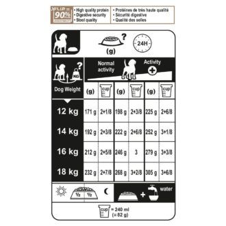 Buy Beagle Adult Food