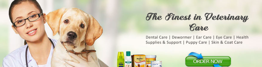 Buy Dog Health and Wellness Products