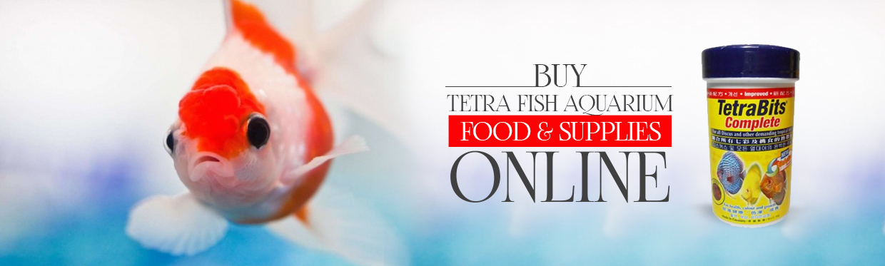 Buy Tetra Pet Food Online
