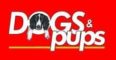 Dogs and Pups
