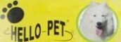 Hello-Pet