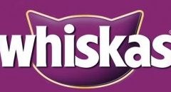 Buy Online Pet Products