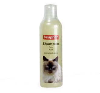 Buy Buy beapher cat kitten shampoo
