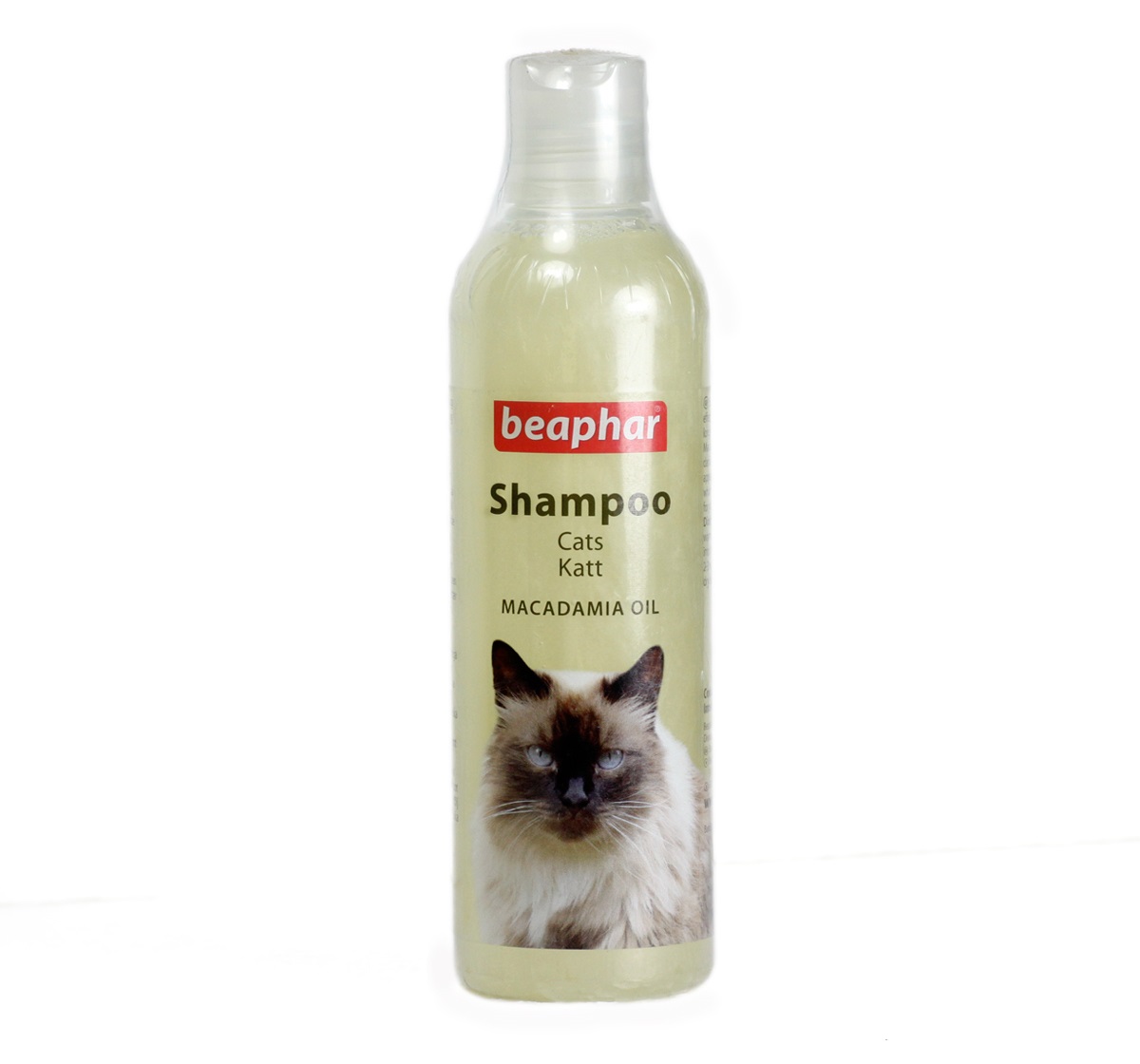 Buy Buy beapher cat kitten shampoo
