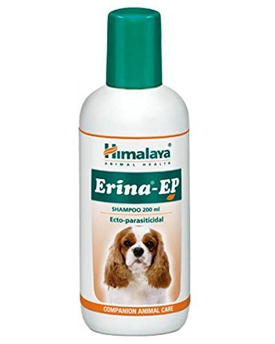 Buy Himalaya Erina ep 200ml