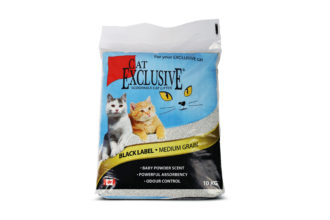 Buy Cat Little Exclusive