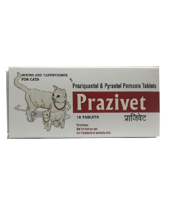 BUY PET PRAZIVET CAT