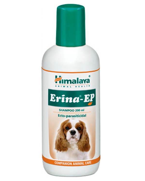 BUY ERINA EP SHAMPOO 200 ML