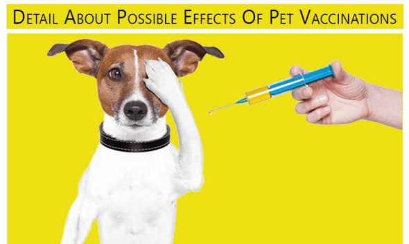 Details about Possible effects of Pet vaccination