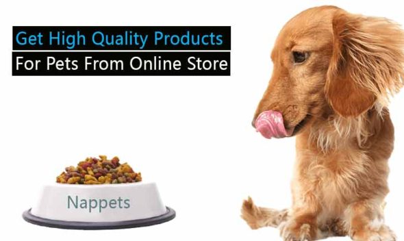 Get high quality products for pets from online store