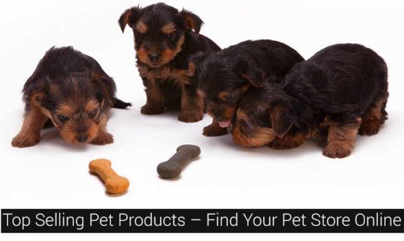 Top Selling Pet Products