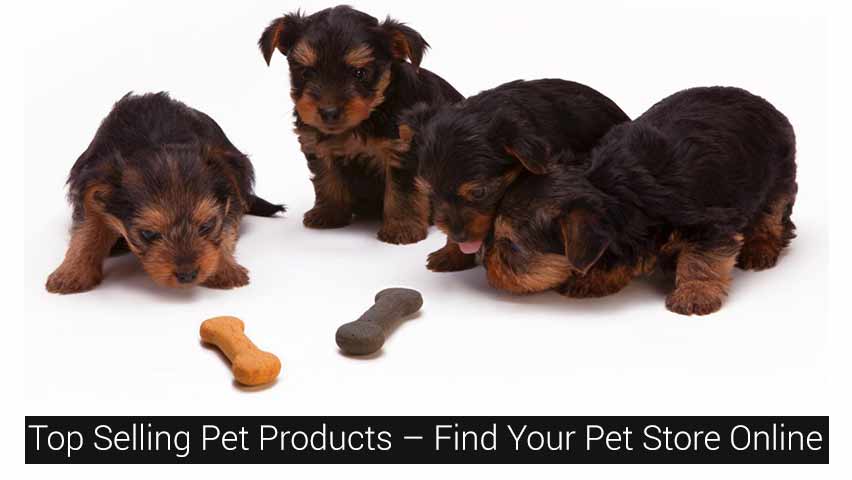 Top Selling Pet Products
