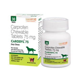 Buy Carodyl Range Containers 30 Tabs