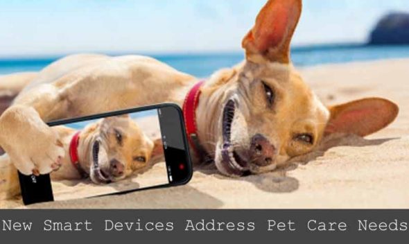 New-Smart-Devices-Address-Pet-Care-Needs