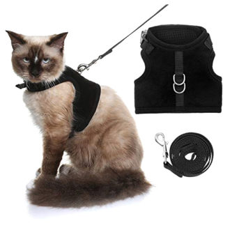 Buy Online Black Adjustable Soft Vest Cat Harness with Leash
