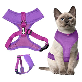 Buy Online Purple Cute Cat Harness Adjustable