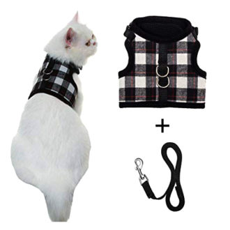 Buy Plaid Design Cat Harness With Leash