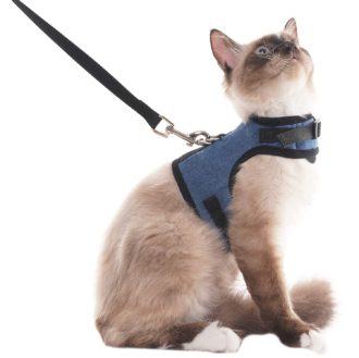 Buy Online Cat Harness with Leash
