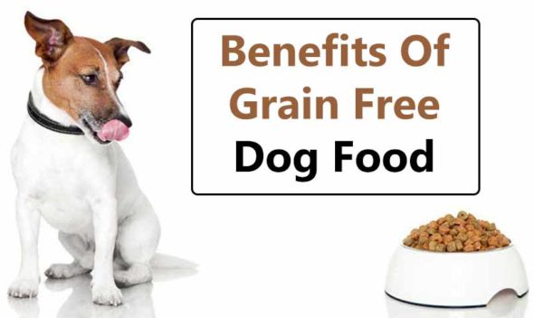 Benefits-Of-Grain-Free-Dog-Food