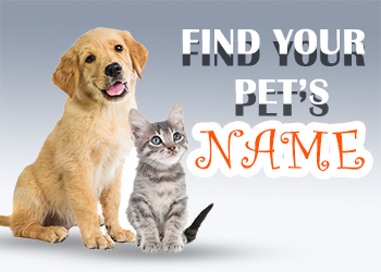 Pet Names