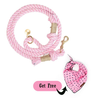 buy Pink Cotton Rope Dog Leashes with stylish Bandana 