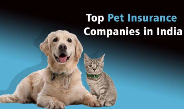 Top Pet Insurance Companies in India