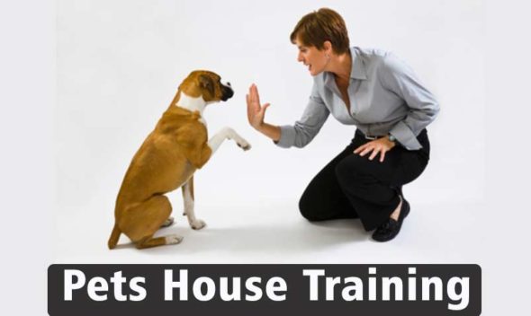 Pets House Training!!!