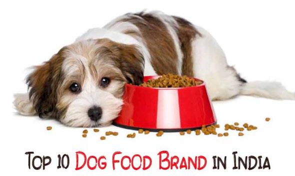 Top 10 Dog food On nappets