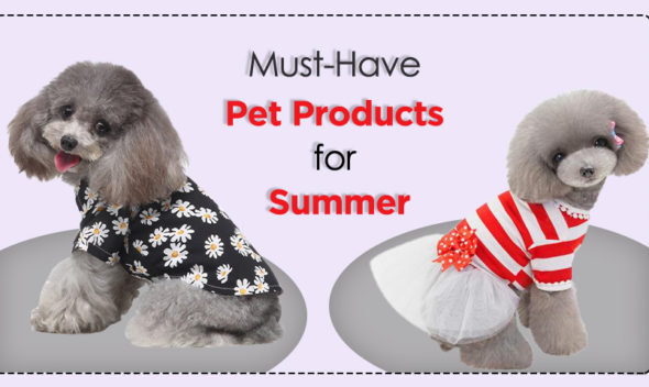 Pet Product for summer