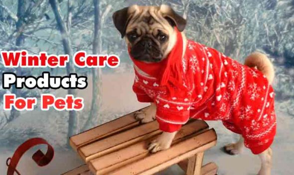 Winter care products for your pets