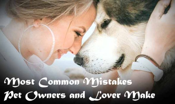 Most Common Mistakes Pet Owners and Lover Make