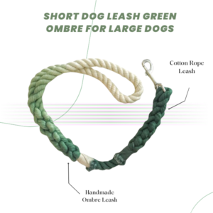 Short Dog Leash Green Ombre for Large Dogs
