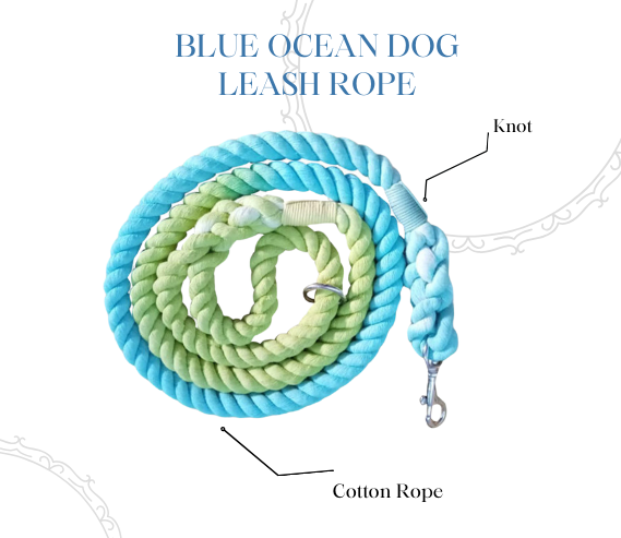 Blue Ocean Dog Leash Rope