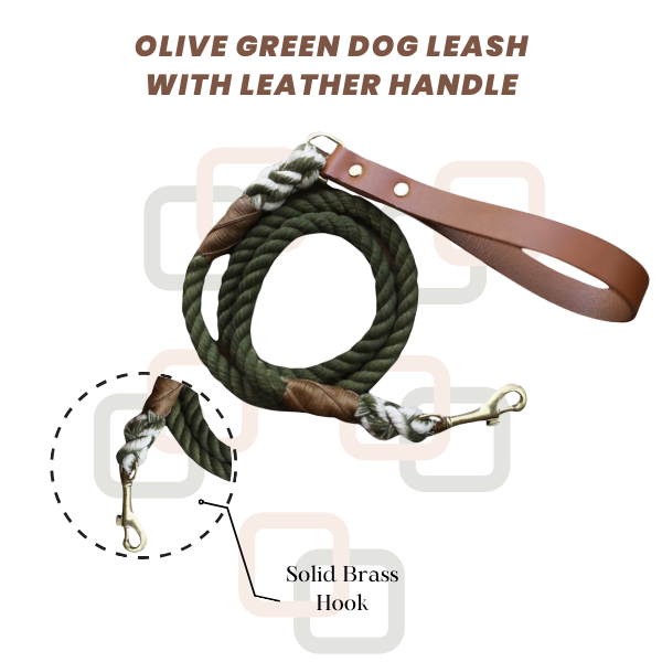 Olive Green Dog Leash with Leather Handle