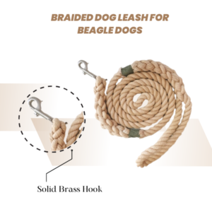 Braided Dog Leash for Beagle Dogs