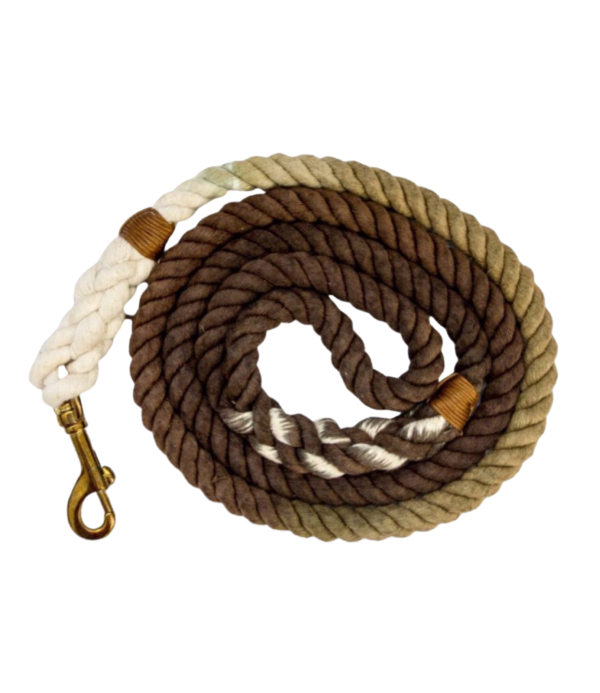 Ombre Brown Rope Dog Leash with Carabiner Hook