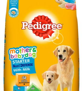 pedigree-mother-pup-starter-