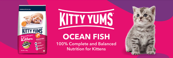 Kitty-Yums-Kitten,,