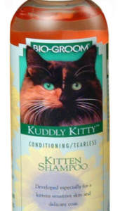Kuddly-Kitty