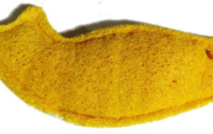 PetSpot-Loofah-Fish-Cat-Toy