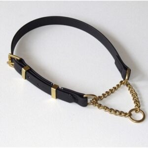 black-dog-collar